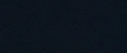 Curio 79 curio 79