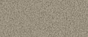 Quelle 05 77d1b