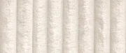 Tilia 01 tilia 01