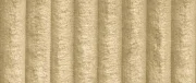 Tilia 04