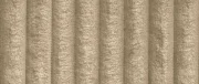 Tilia 11
